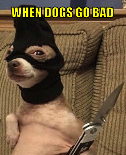 wdgb