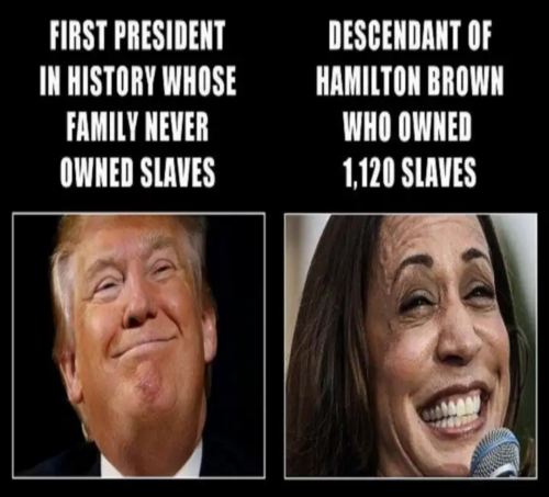 f07f2854d4f124a4
