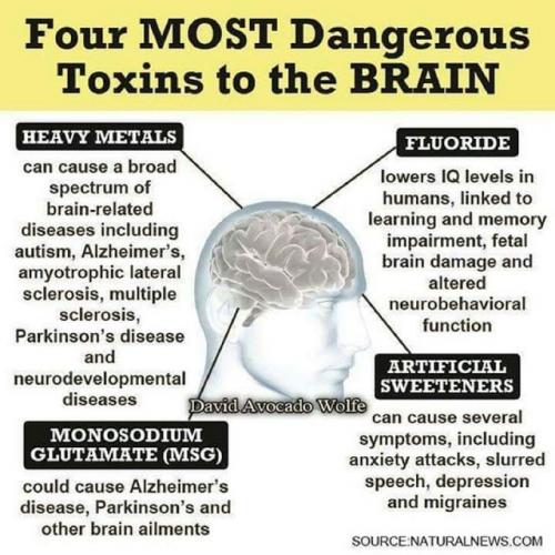 e15f45575d88d4a2b73e5e5e1b945cddd8c8f87dc6cd7c86c17d0765396fbd02