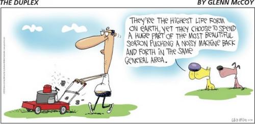 Screenshot 2024-06-30 at 06-48-31 The Duplex by Glenn McCoy for June 30 2024 - GoComics