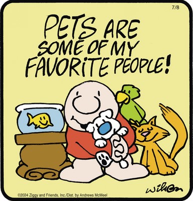 Screenshot 2024-07-08 at 06-18-03 Ziggy by Tom Wilson & Tom II for July 08 2024 - GoComics