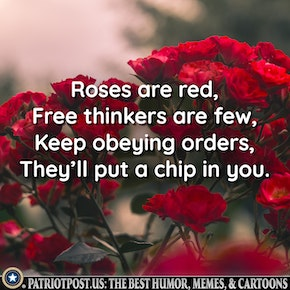 0ebf2e2b25e98764