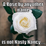 nastynancy1