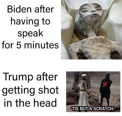 739b0005-0c59-4895-85d7-549cf9c38d0d