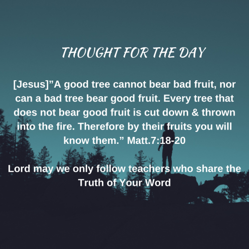TWEET 07-12-24