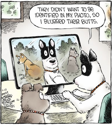 Screenshot 2024-07-13 at 06-30-19 Speed Bump by Dave Coverly for July 13 2024 - GoComics