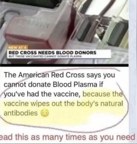 NO vax blood