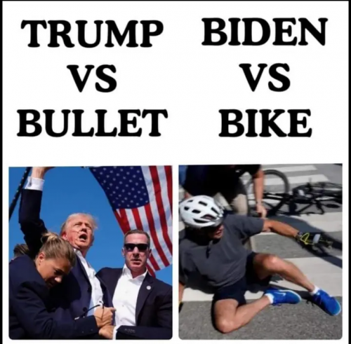 d53eb5f40b83e2546373dd32483ab30e_500