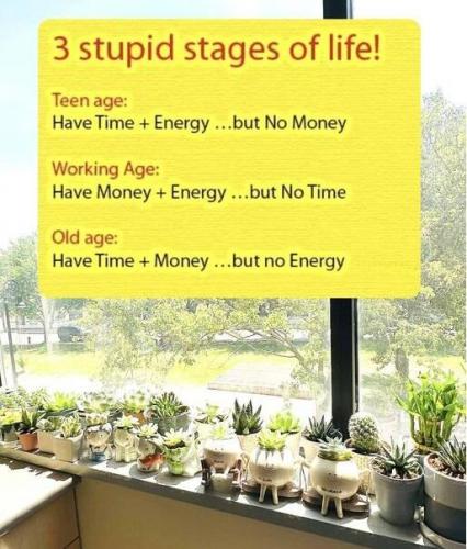 3 stages