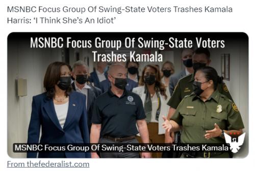 Swing state voters trash Kamala