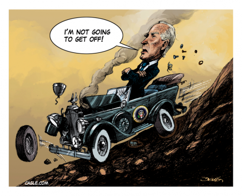 biden-in-the-race