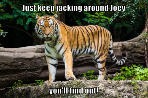 jacking