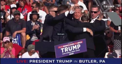 Trump Assassination Attempt ~Vince Fusca Watching On~ 2