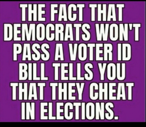 voter id