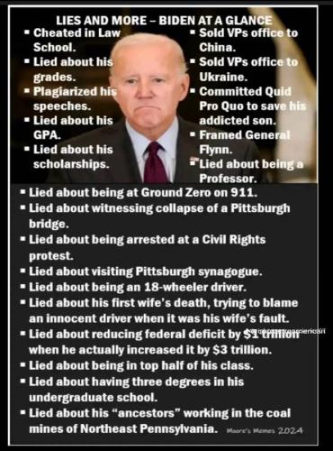 BIDEN LIAR 787876787