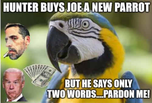 bidenhunterpardonme