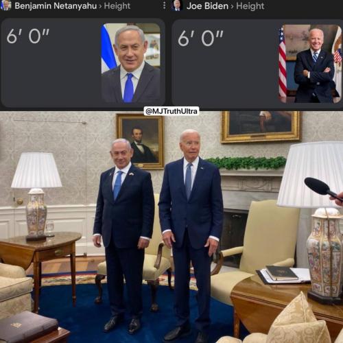 241