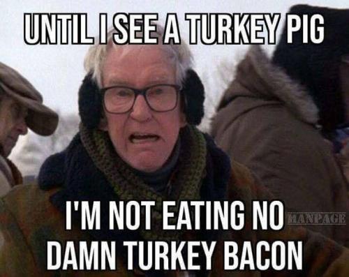turkey pig