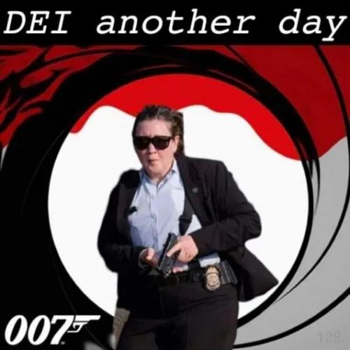e4d3bcd76fb3f27437f95e35e65fcb38_1024