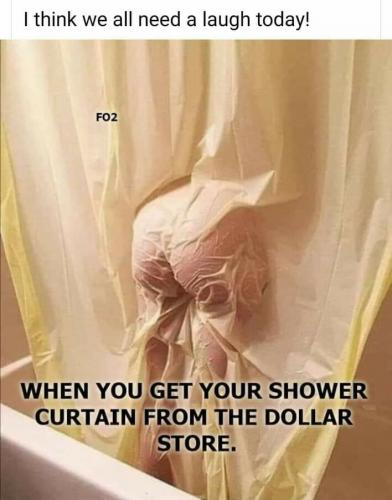 shower curtain