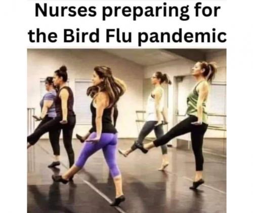 nurses bird flue