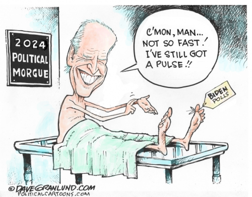 biden-2024-latest-polls