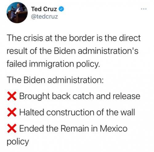ted cruz illegal aliens