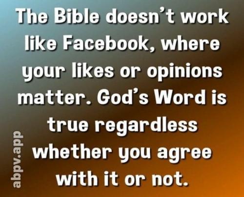 b1143a7c515c244a