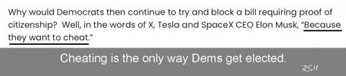Musk dems cheat