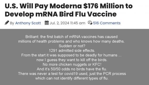 mRNA birds
