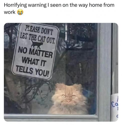 Please don't let the cat out