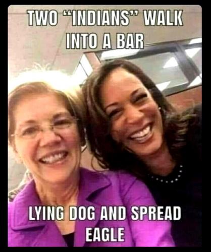 Two Indians Walk into a Bar