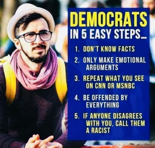 DEMOCRAT IN 5 EASY STEPS