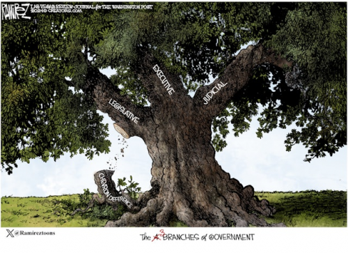 THREE BRANCHES