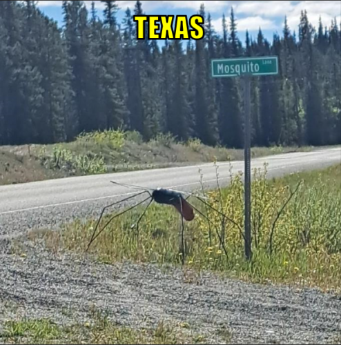 texas
