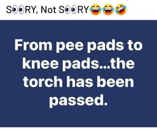 pee pad