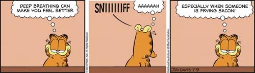 Screenshot 2024-07-09 at 06-35-24 Garfield by Jim Davis for July 09 2024 - GoComics