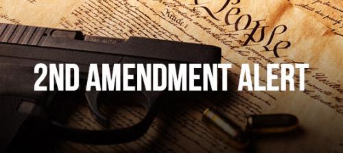 SecondAmendmentAlert