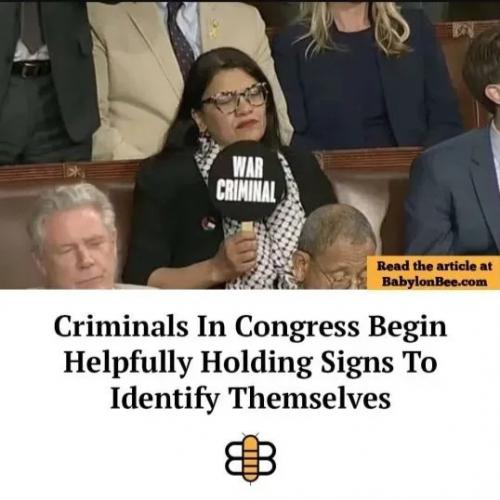 1000027278