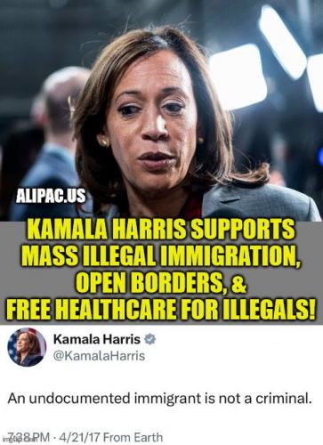 TheLiberalBitchSupportsMassIllegalMigration