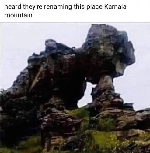 1000027236