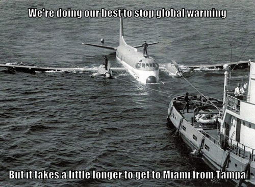 miamitamp