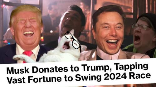 musk donates