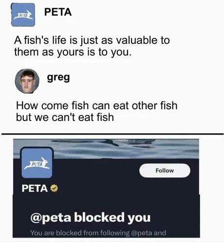 7d210309e99f33d7