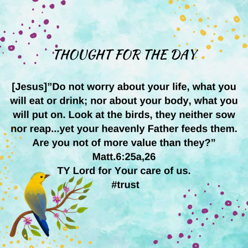 TWEET 07-11-24