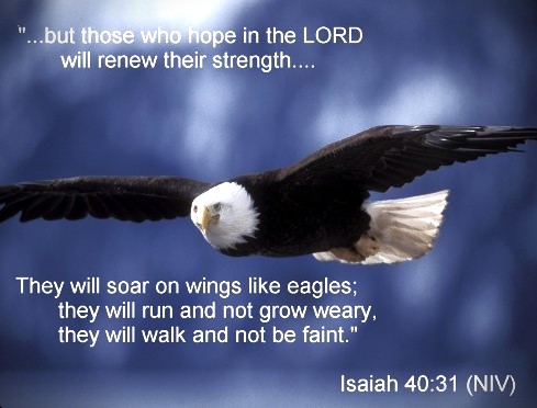 072324 - Eagle renewed - Isaiah 40-31