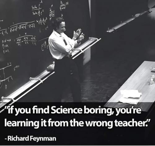 FB_IMG_1721144018491