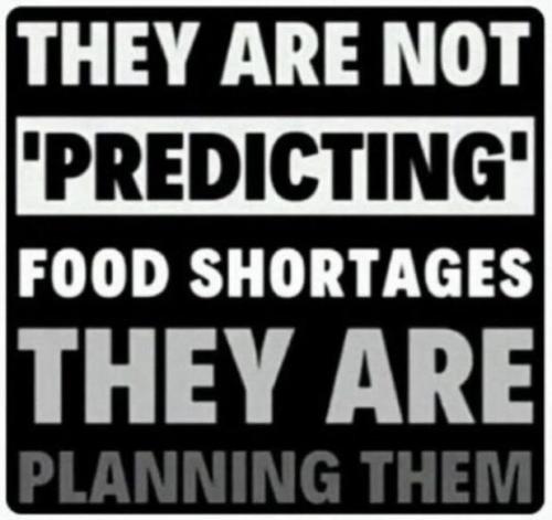 The Plan
