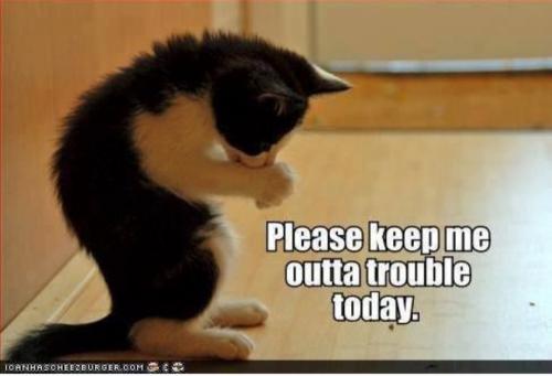 Please
