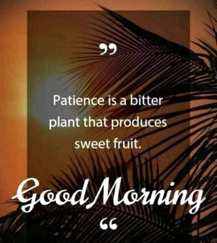 072724 - Patience